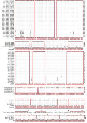 A multiplex TaqMan real-time PCR assays for the rapid detection of mobile colistin resistance (mcr-1 to mcr-10) genes